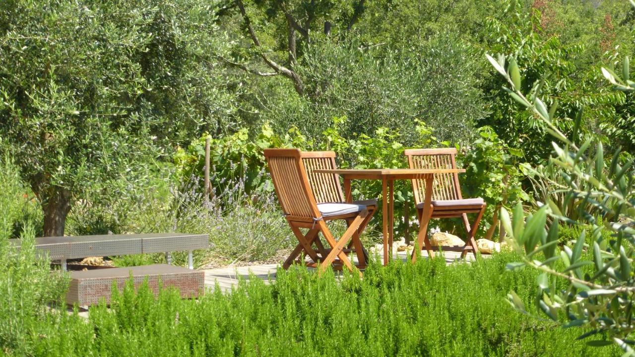 Le Vallon Des Oliviers Montauroux Bagian luar foto